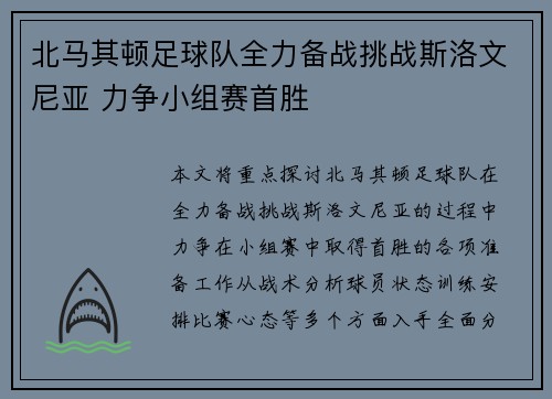 北马其顿足球队全力备战挑战斯洛文尼亚 力争小组赛首胜