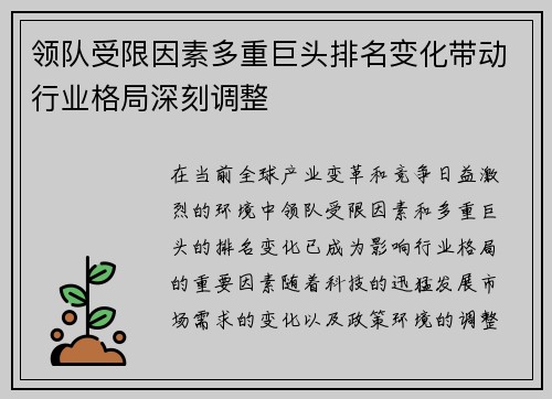 领队受限因素多重巨头排名变化带动行业格局深刻调整